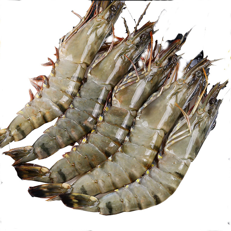 Hot selling factory wholesale price high quality frozen black tiger shrimp high nutritional value frozen shrimp