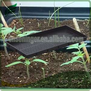 Plastic Seedling Nursery Tray