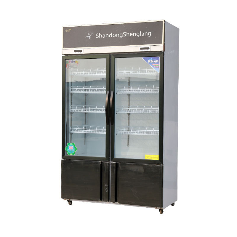 2022 latest technology luxury dual-temperature commercial display cabinet refrigerator cooler used in supermarket bars,