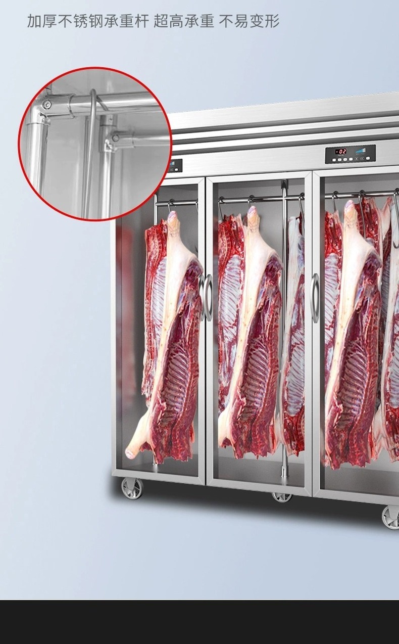 Stainless steel 3 door meat hanging freezer standing chiller display refrigerator