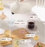 China OEM Food Grade Smart Temperature Control Electric Kettle