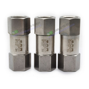 Stainless Steel Check Valve One Way Valve NPT Female 1/8" 3/8" 1/4" High Pressure Natural Gas Non Return Check Valve