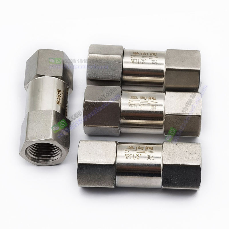 Stainless Steel Check Valve One Way Valve NPT Female 1/8