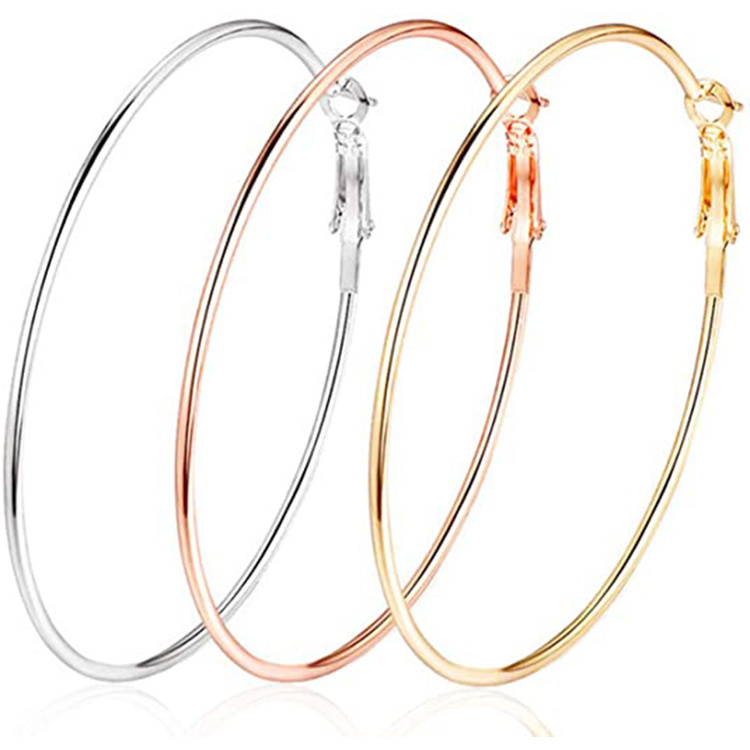 2024 Stainless Steel Earrings Geometric Hoops Gold Plated Rose Gold Plated Silver Big Hoop Earrings for Women