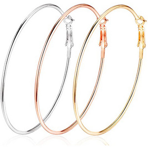 2024 Stainless Steel Earrings Geometric Hoops Gold Plated Rose Gold Plated Silver Big Hoop Earrings for Women