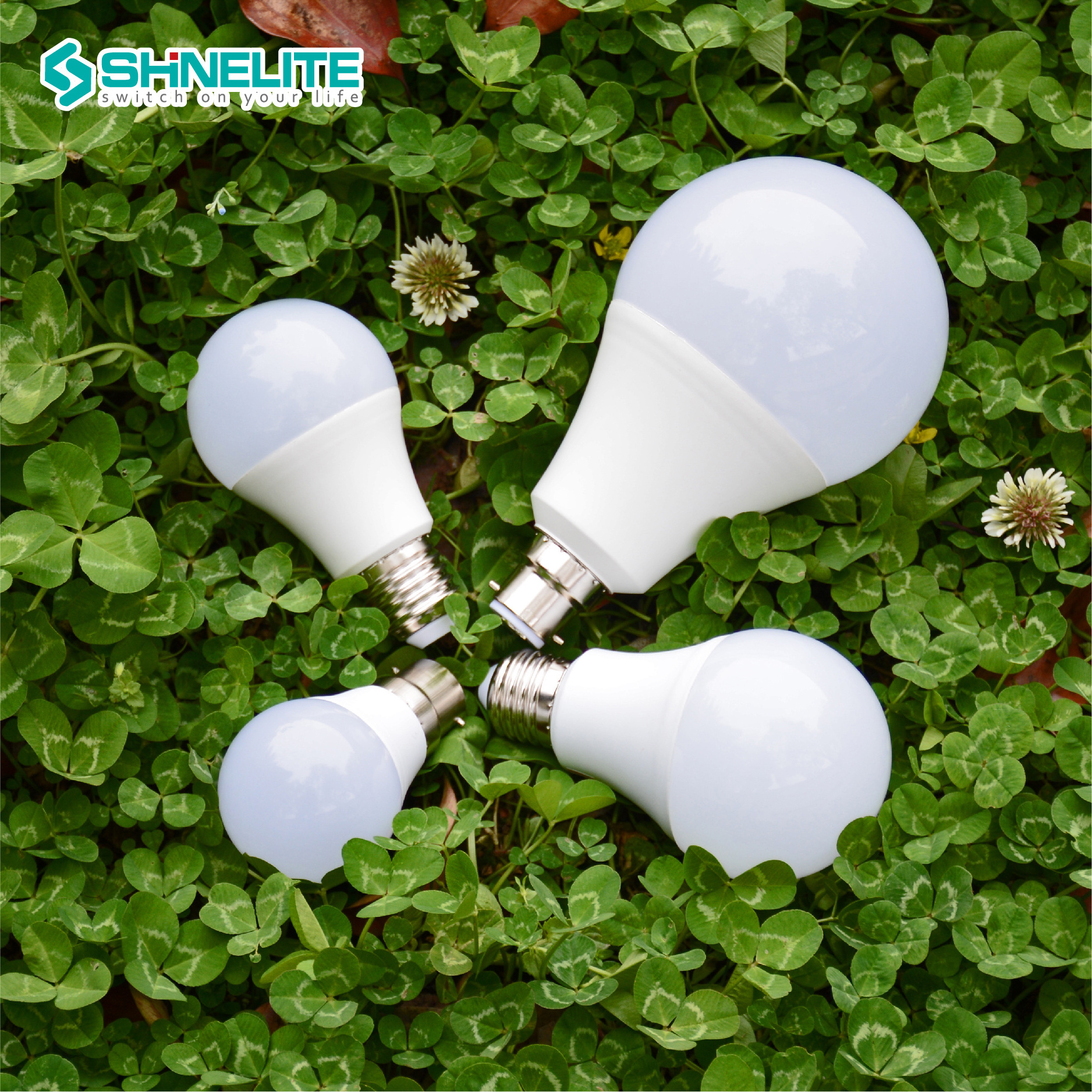 High Quality 15 Watt Energy Indoor Light Led Bulb