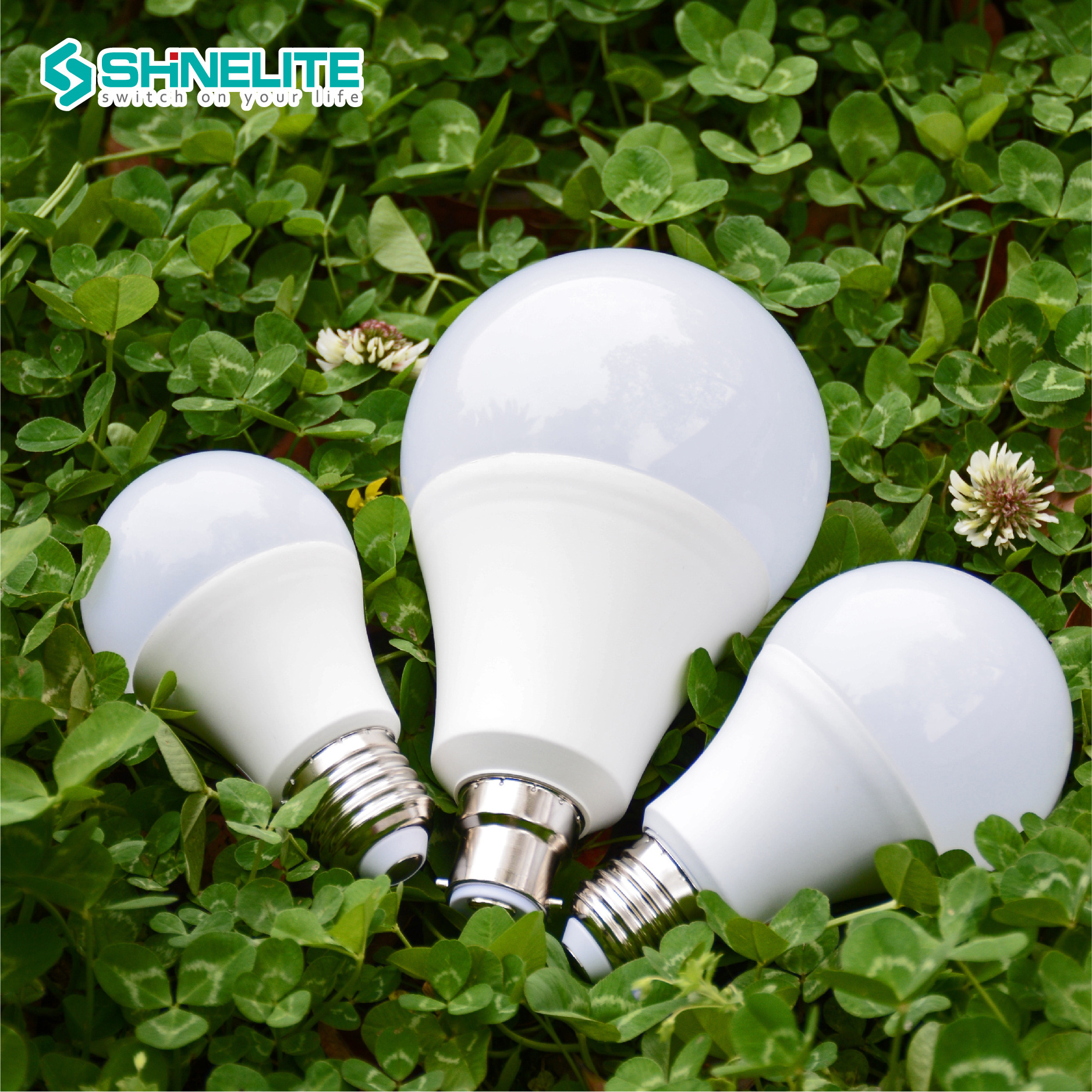 New Dob Design Cool White Color Led Light Bulbs For Home