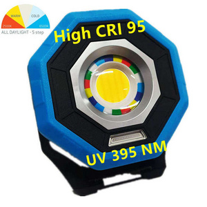 High Power 2000 Lm CRI 95 COB LED Work Light Auto Detailing Supplies For Car Painting Swivel Finder With 5W UV 395NM Curing Lamp