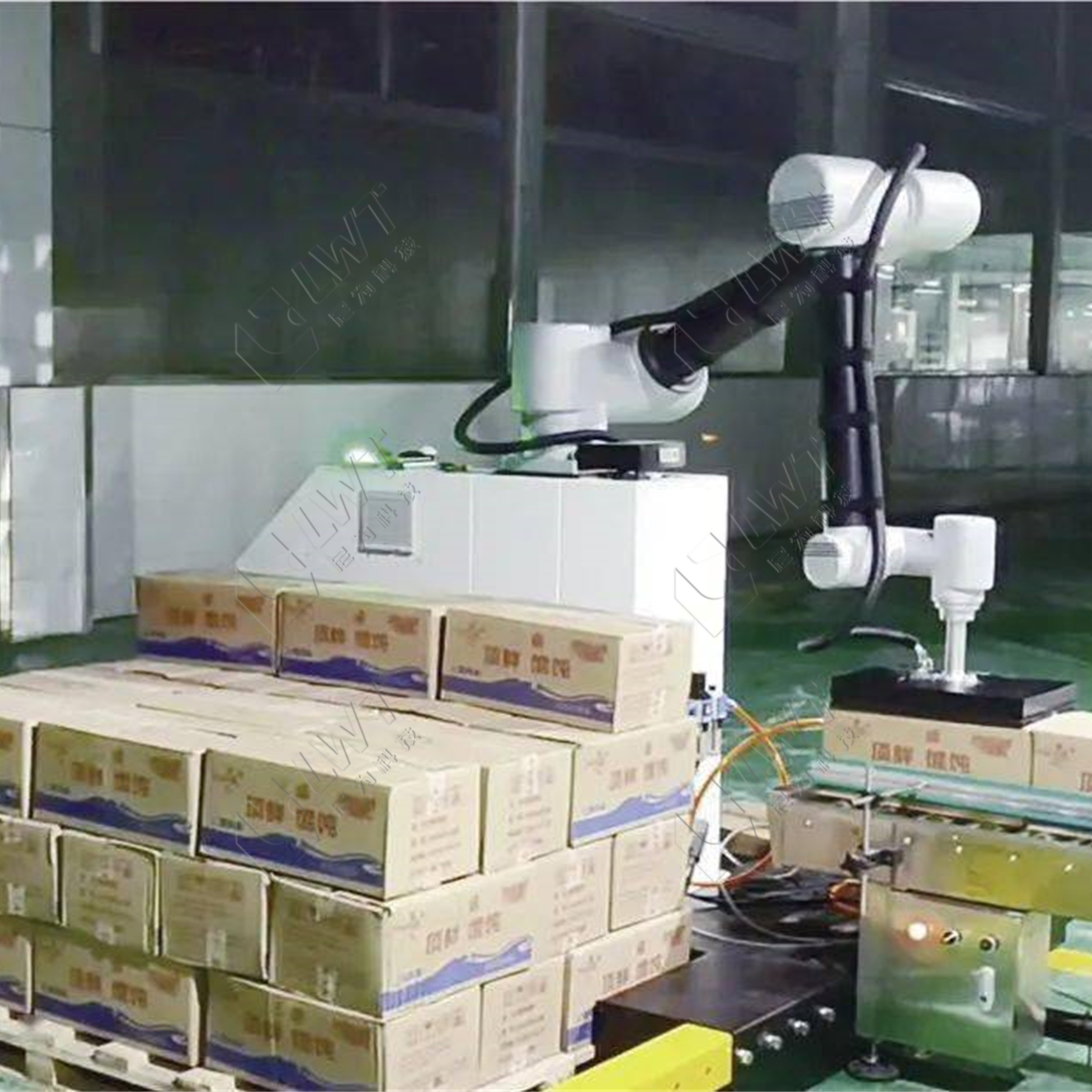 Automatic Cobot Palletizer Carton Case Bag Collaborative Robot Palletizer Stacking Machine Discount Price