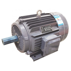 Electric High Voltage Motor YE3-112M-4 4KW 5.5HP YE3 Series Three Phase Electric Motor