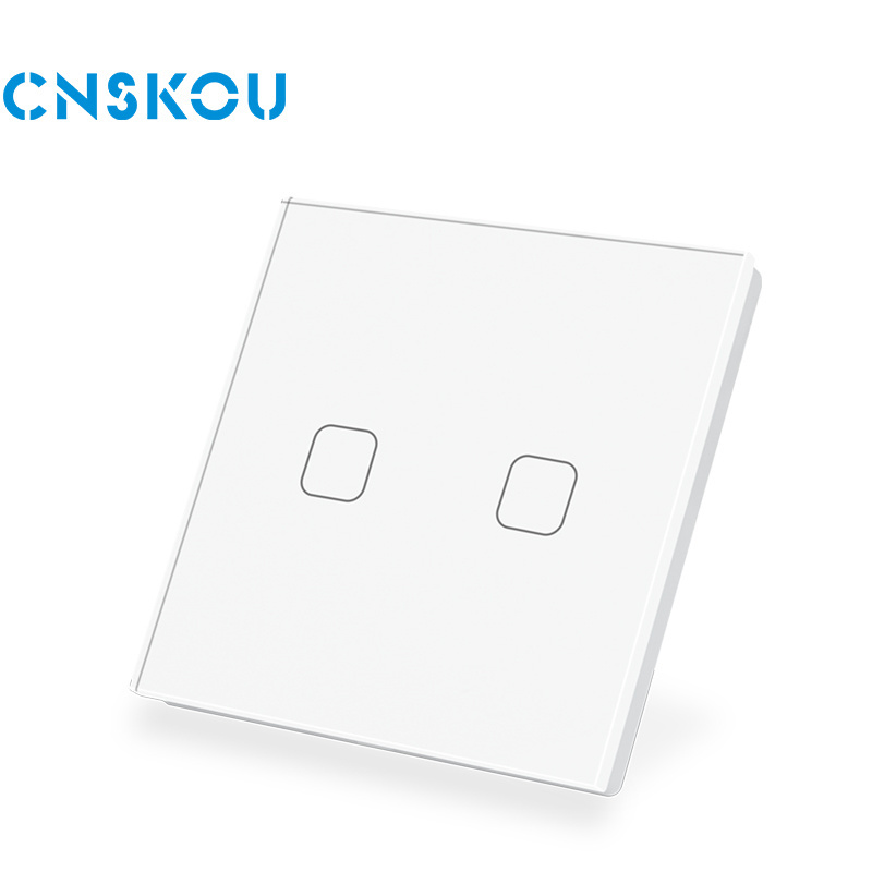 CNSKOU EU 2 Gang Remote Control 110V/220V Alexa Smart Light Wifi Power Switch