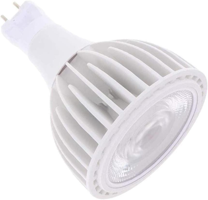 For Track Light G12 Spotlight 30W AC100-277V LED PAR30 G12 COB 30W led bulbs track light par30