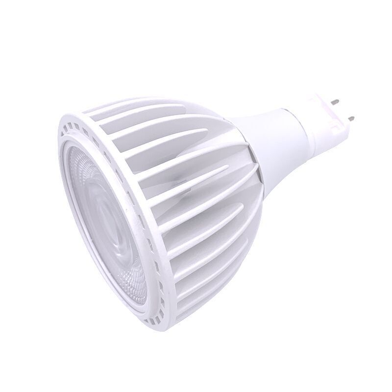 Sky factory COB chip led spotlight E27/G12 led Par30 40w 100-277V 3000K 4000K 6000K led lighting bulb ce rohs