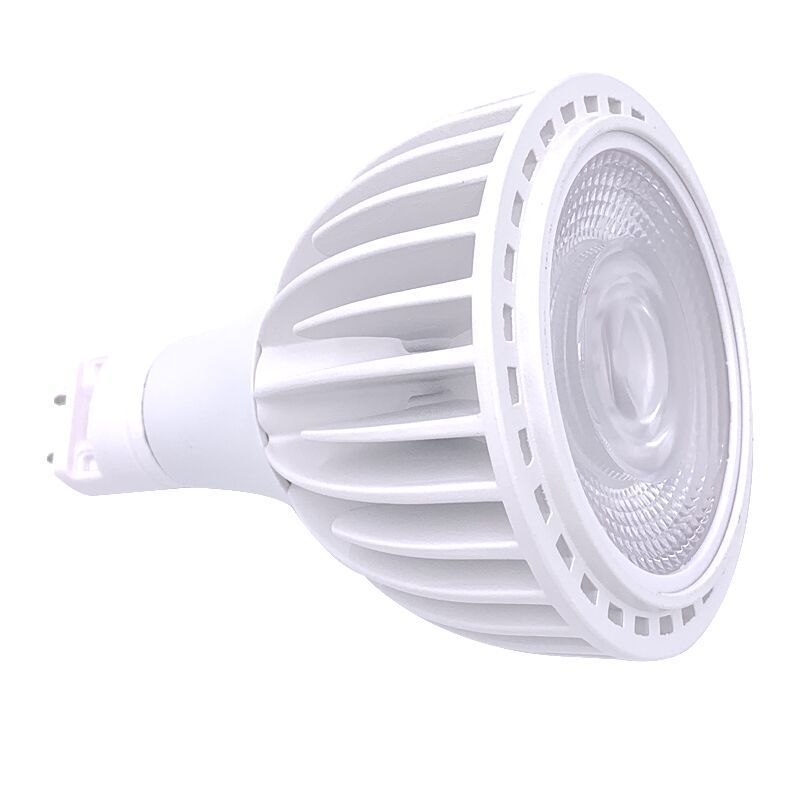 Sky factory COB chip led spotlight E27/G12 led Par30 40w 100-277V 3000K 4000K 6000K led lighting bulb ce rohs