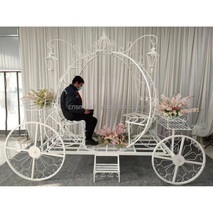 New design white cinderella pumpkin metal garden wedding decoration carriage