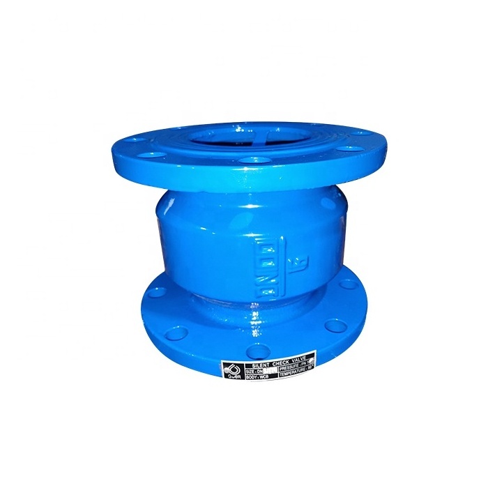 Hot Sale DN250 Industrial Ductile Iron Double Flanged Silent Check Valve