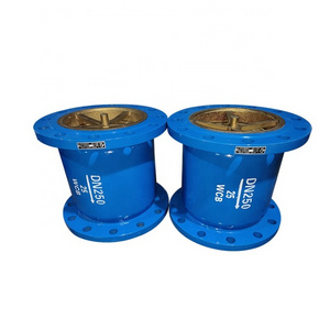 Hot Sale DN250 Industrial Ductile Iron Double Flanged Silent Check Valve