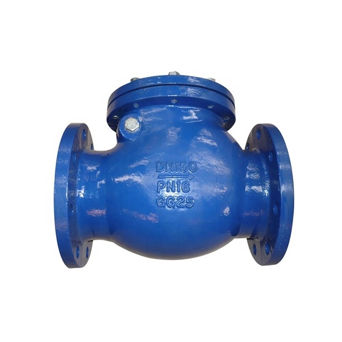 DIN 3202 F6 Ductile Iron Cast Iron NON Retun Swing Type Check Valve PN16