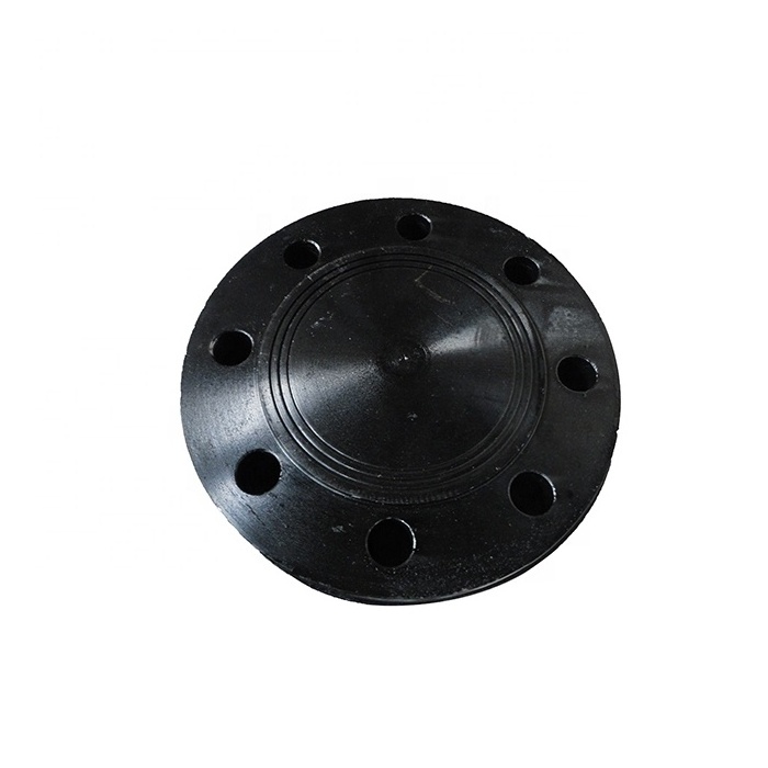 DIN Standard Carbon Steel Forged Blind Flange