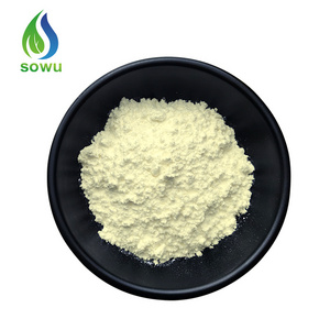 Supply maslinic acid extract olive leaf extract maslinic acid