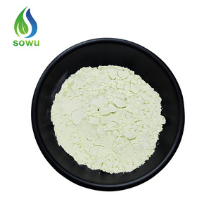 Natural Apple Extract Powder Apple Powder Green Apple Powder