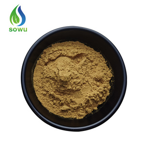 Factory supply kavalactones kava root extract kava extract