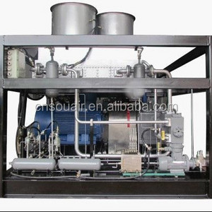 Souair Natural Gas Compressor Station 1100-2800Nm3/hr 25.0Mpa Hot sales