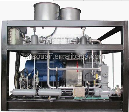 Chinese brand souair high quality natural gas compressor station CNG Compressor