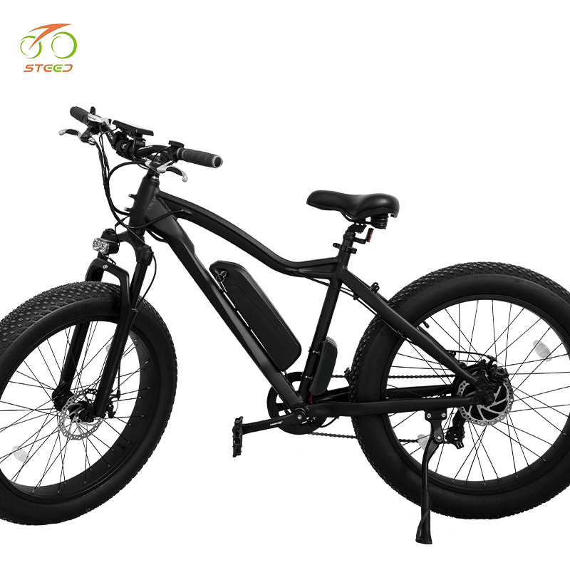 Steed two seat korea electric bike us sports for courier e-bike electric mountain bike