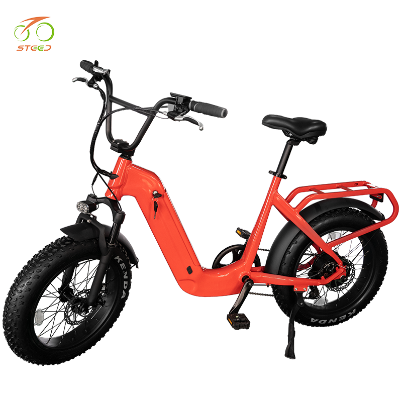 Steed 20 inch fat tyre e-bike with alloy frame e-bike