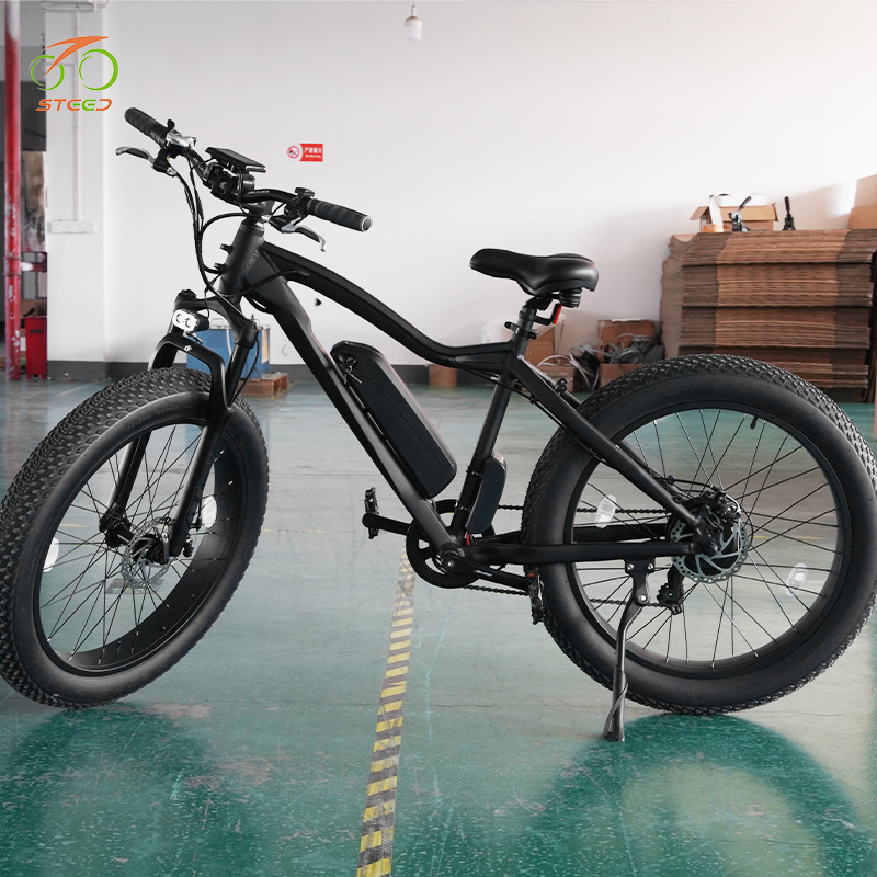 Steed two seat korea electric bike us sports for courier e-bike electric mountain bike