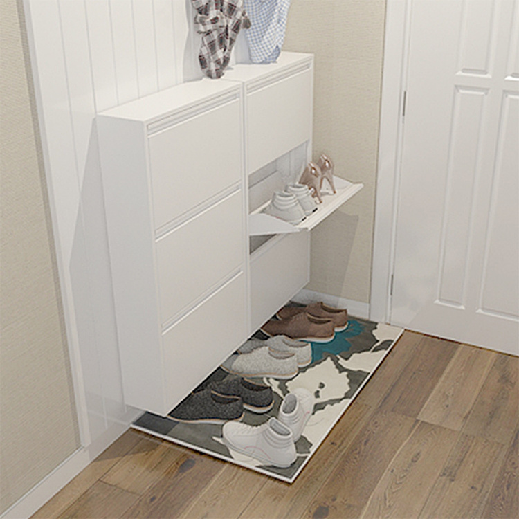 Shoe Cabinet-Metal Modern Shoe Storage Organizer Cabinet With Drawers