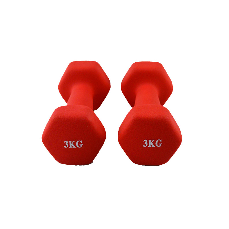 High Quality Gym Fitness 1kg 2kg 3kg 4kg Customized Weights Neoprene Coated Pvc Dumbbells Set With Rack