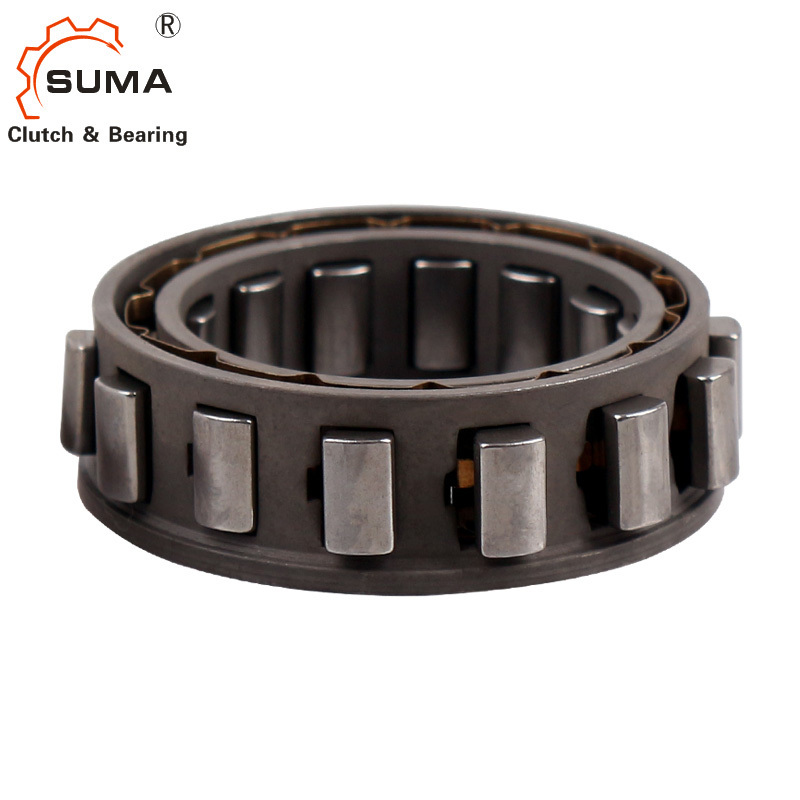 Cam Clutch Bwc13168 One Way Bearing with Sprag Type