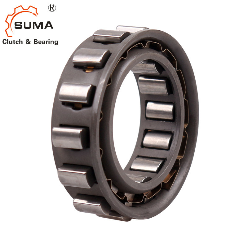 Cam Clutch Bwc13168 One Way Bearing with Sprag Type