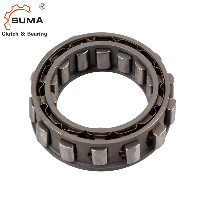 Cam Clutch Bwc13168 One Way Bearing with Sprag Type