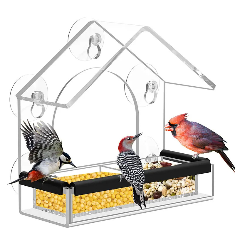 Custom Acrylic Special Supplies Feeder Bird Cage Canary Parrot Pet Drinker Bird Cage Acrylic Clear Accessories Bird Cage