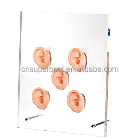 Professional Hearing Aid Tool Acrylic Ear Display Stand with four ear mold