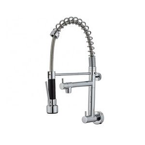 kitchen faucet Pull Out Pull Down Sprayer Brass Chrome 2 spouts Wall Mounted Kitchen Faucet