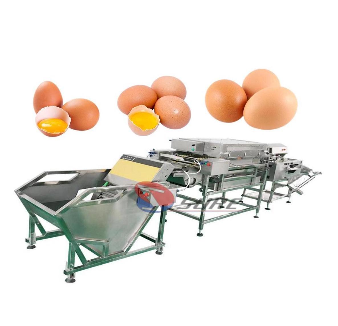 Chicken/Duck egg washer machine egg washing and drying sterilizing machine factory price