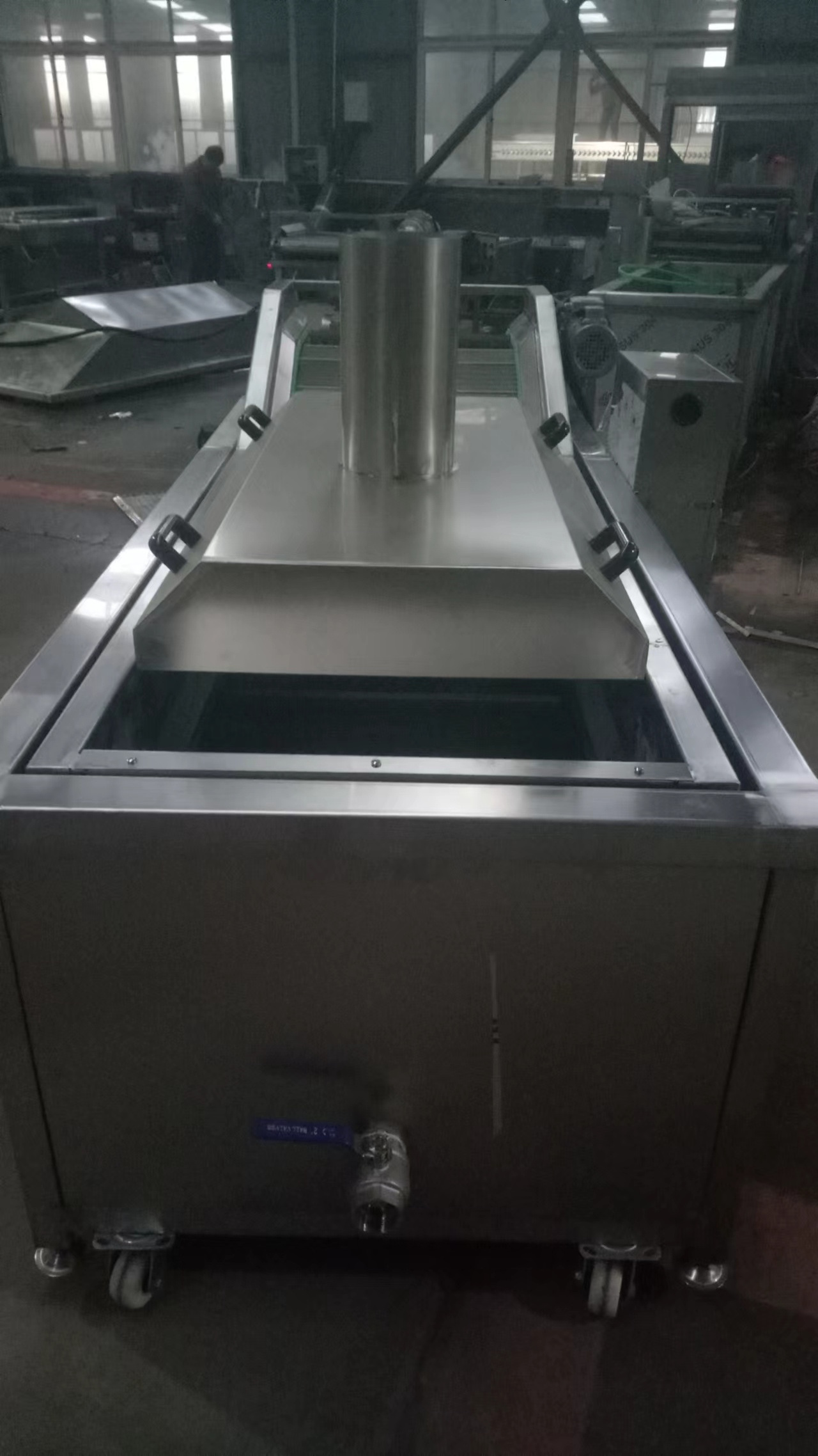 Professional Manufacturer Blanching Machine Food Vegetable and Fruit French Fries Blanching Machine