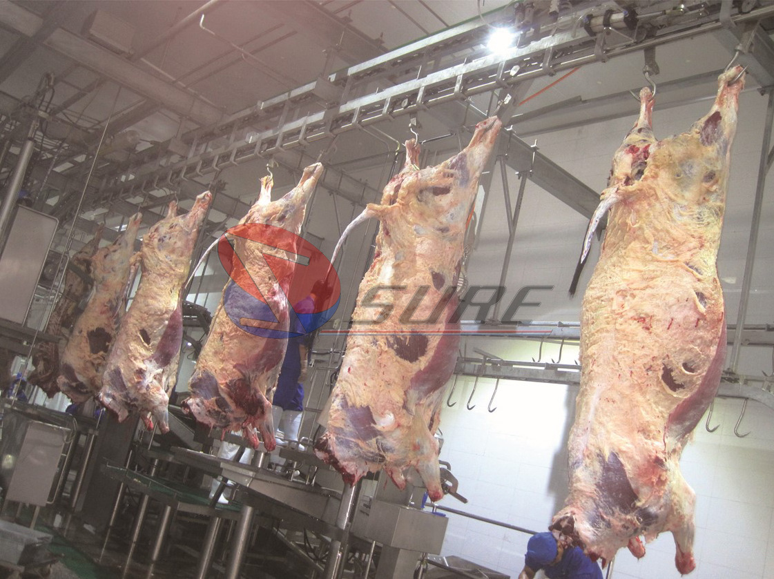 Poultry  Automatic cattle slaughter line slaughtering equipment cattle cow slaughter machine