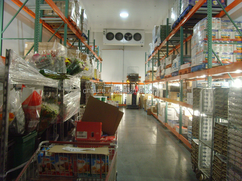 cold storage container cold room/modular cold room cold storage/cheese cold room cold store