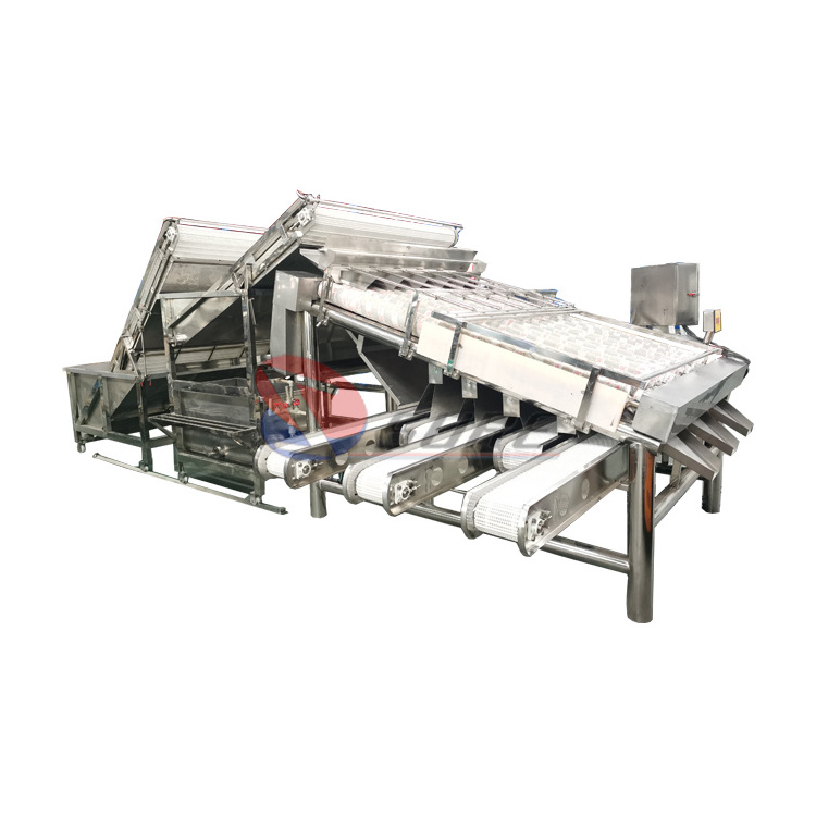 Customized Fish Shrimp Prawn Seafood Processing Grading Machine/Shrimp Grader