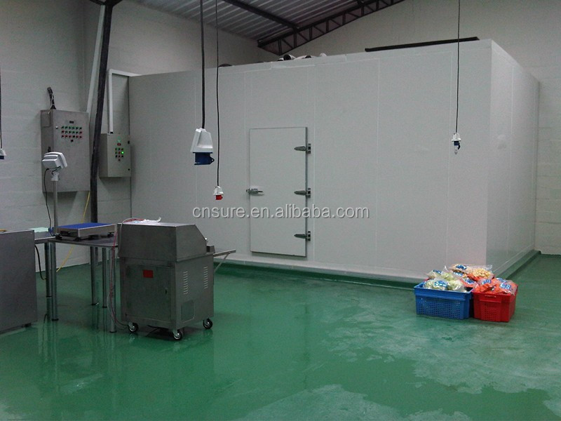 cold storage container cold room/modular cold room cold storage/cheese cold room cold store