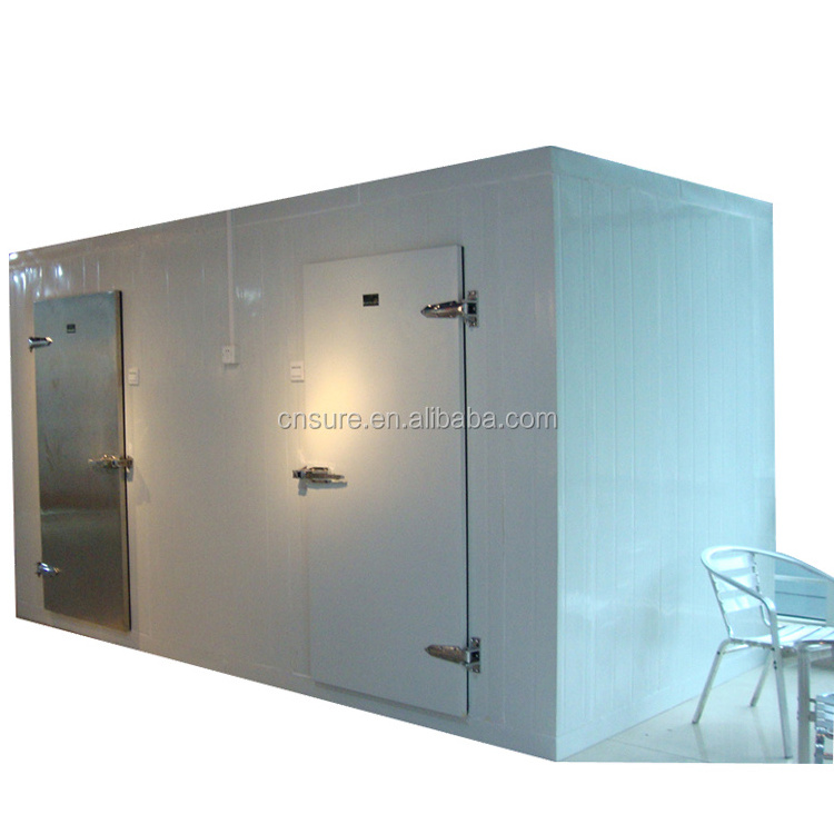 cold storage container cold room/modular cold room cold storage/cheese cold room cold store