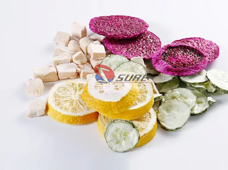 High Quality Fruit Vegetable Freeze Dryer Machine For Sale