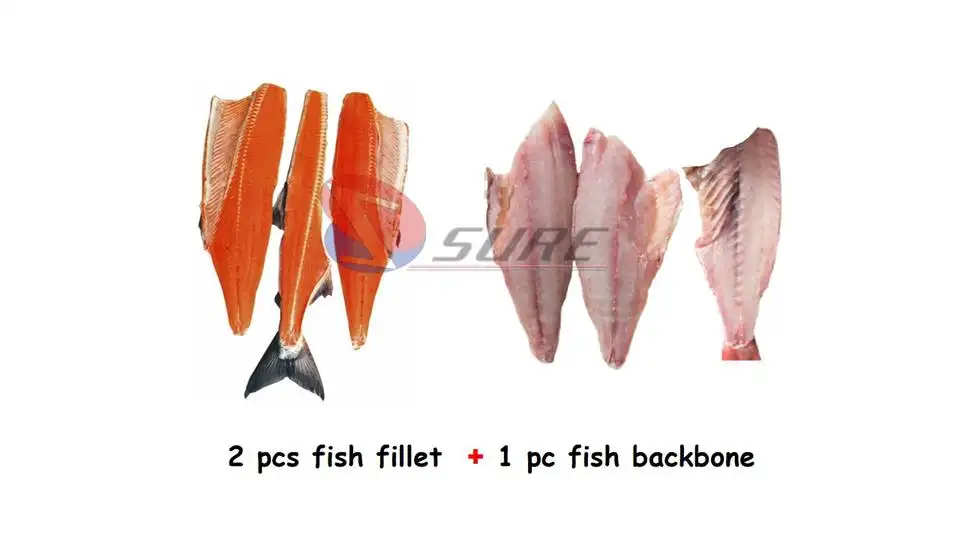 Automatic Fish Processing Line Fish Production Line Fish Fillet Machine