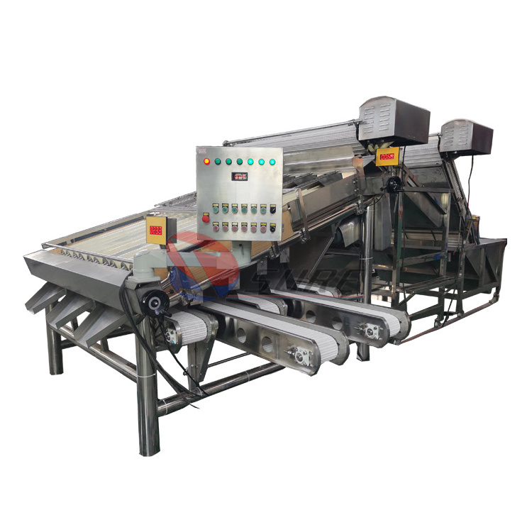 Customized Fish Shrimp Prawn Seafood Processing Grading Machine/Shrimp Grader