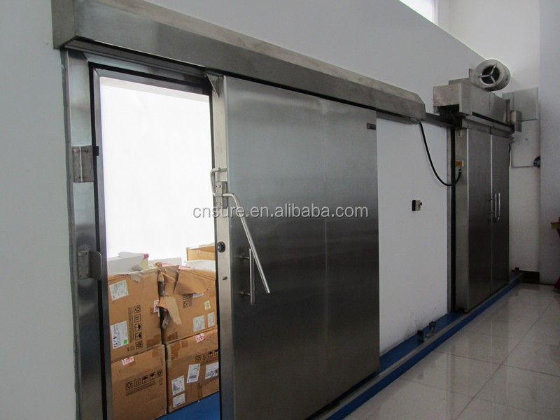 cold storage container cold room/modular cold room cold storage/cheese cold room cold store